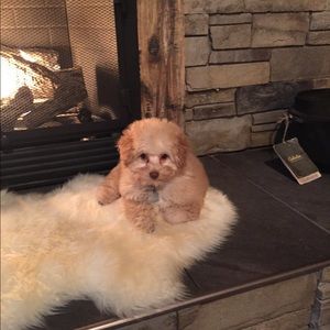 Meet your Posher, Ruth